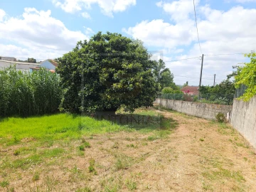 Moradia T4 para Venda em Lamas e Cercal