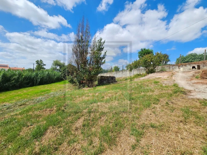 Moradia T4 para Venda em Lamas e Cercal Foto 21