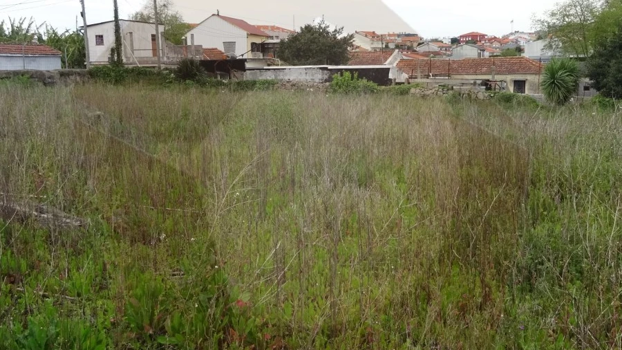 Terreno para Venda em Canidelo