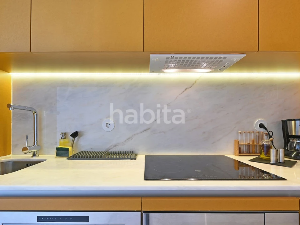 Apartamento T1 para Arrendamento em Cedofeita, Santo Ildefonso, Sé, Miragaia, São Nicolau e Vitória Foto 4