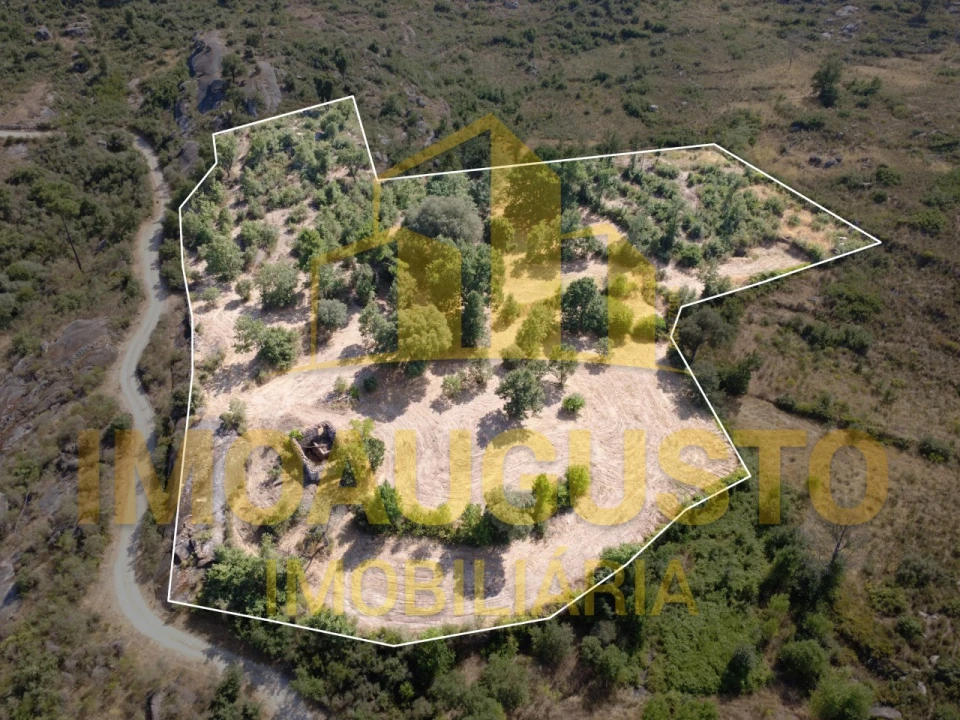 Terreno para Venda em Vila Cortes do Mondego Foto 1