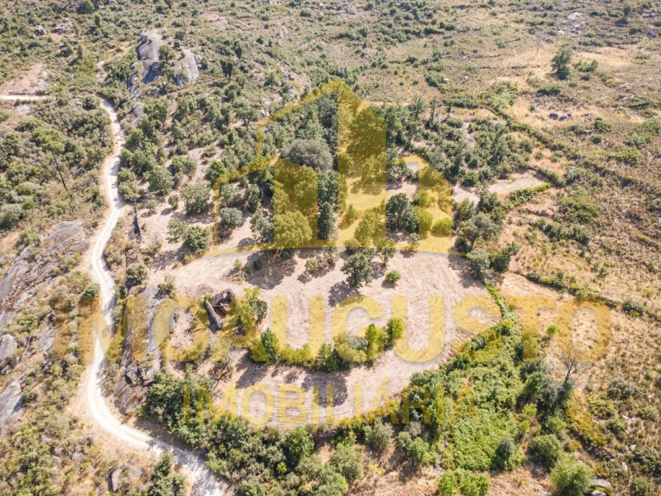 Terreno para Venda em Vila Cortes do Mondego Foto 2