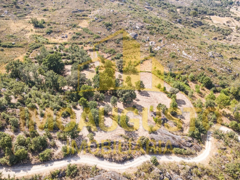 Terreno para Venda em Vila Cortes do Mondego Foto 4