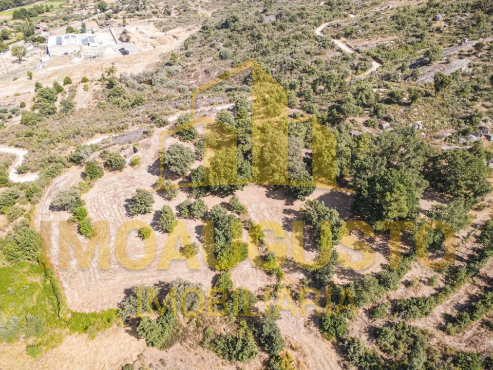 Terreno para Venda em Vila Cortes do Mondego Foto 5