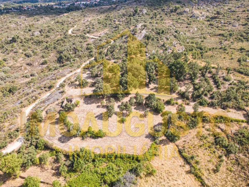 Terreno para Venda em Vila Cortes do Mondego Foto 6