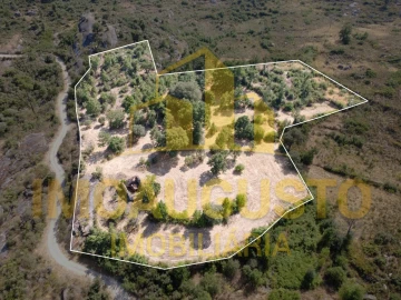Terreno para Venda em Vila Cortes do Mondego
