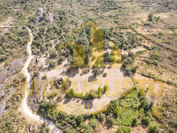 Terreno para Venda em Vila Cortes do Mondego