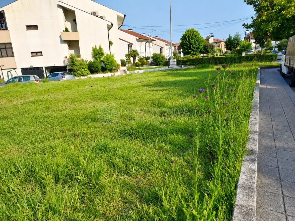 Terreno para Venda em Baltar Foto 3