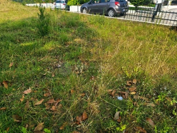 Terreno para Venda em Baltar