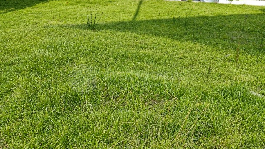 Terreno para Venda em Baltar