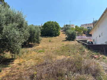 Terreno para Venda em Trouxemil e Torre de Vilela