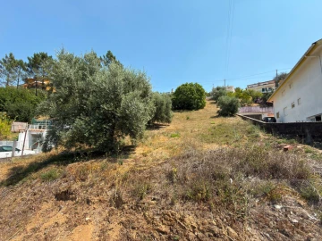Terreno para Venda em Trouxemil e Torre de Vilela
