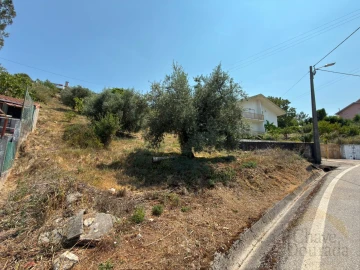 Terreno para Venda em Trouxemil e Torre de Vilela