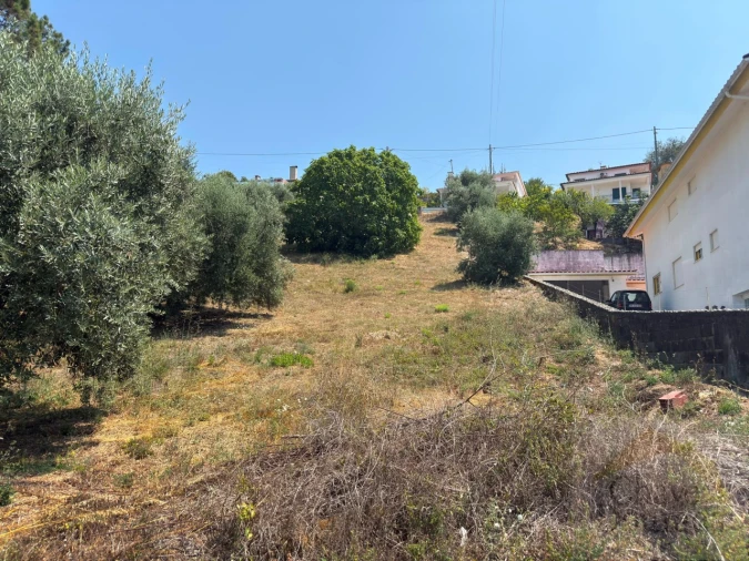 Terreno para Venda em Trouxemil e Torre de Vilela Foto 2