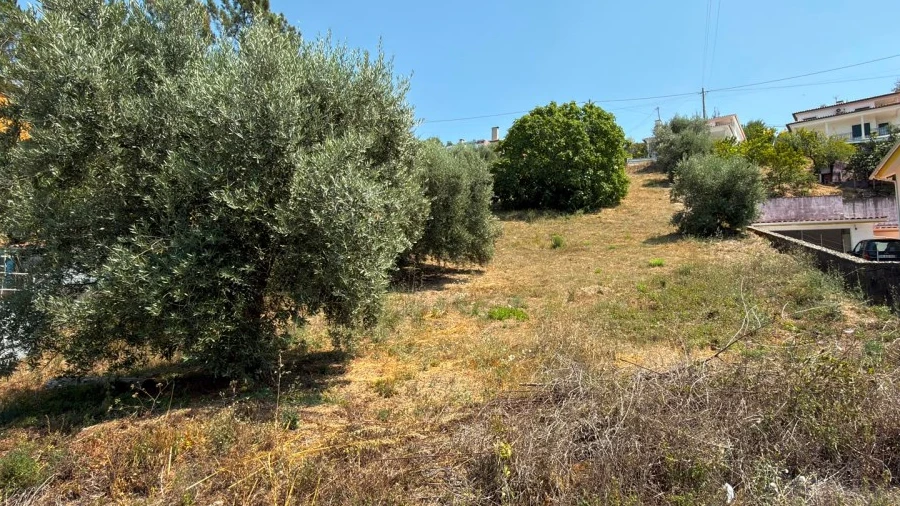 Terreno para Venda em Trouxemil e Torre de Vilela