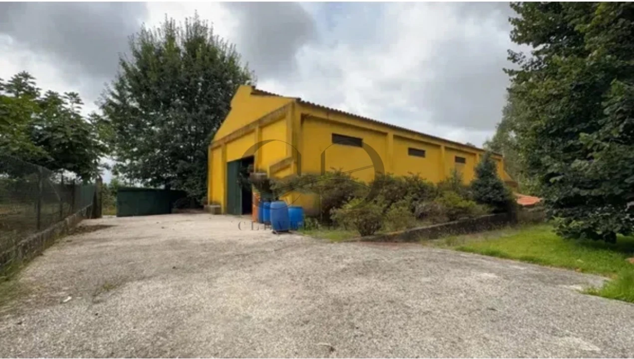 Armazém para Venda em Canedo, Vale e Vila Maior Foto 1