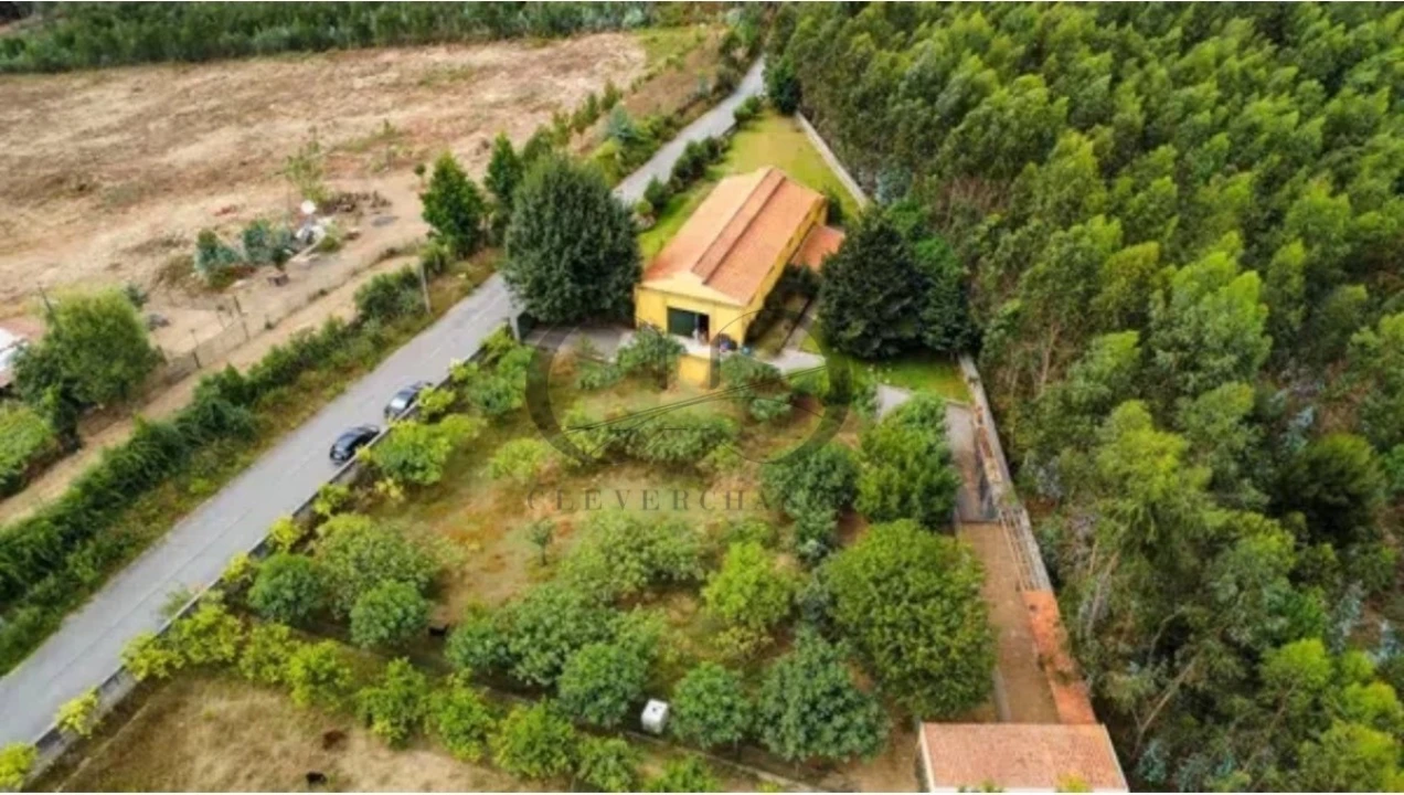 Armazém para Venda em Canedo, Vale e Vila Maior Foto 2