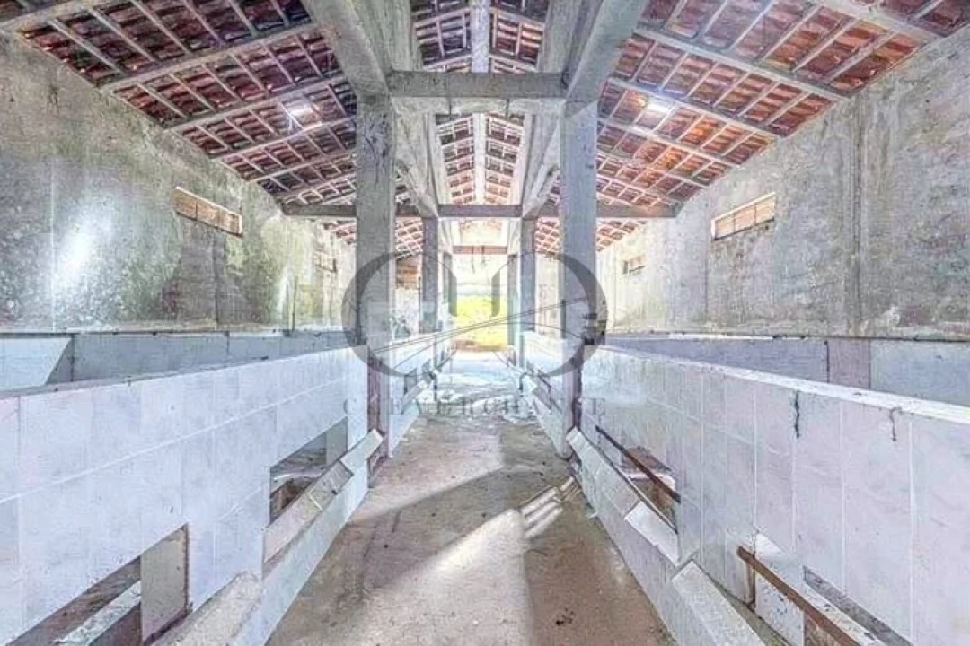 Armazém para Venda em Canedo, Vale e Vila Maior Foto 4
