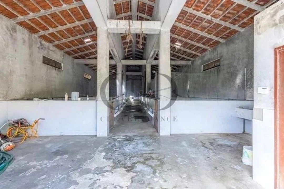 Armazém para Venda em Canedo, Vale e Vila Maior Foto 5