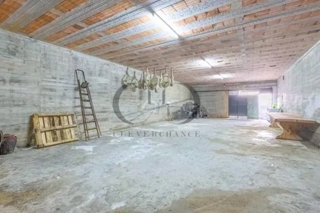 Armazém para Venda em Canedo, Vale e Vila Maior Foto 11