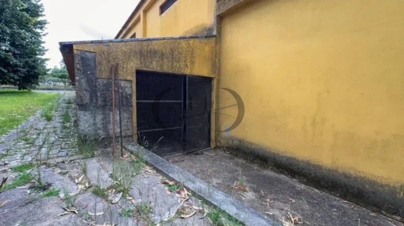 Armazém para Venda em Canedo, Vale e Vila Maior Foto 14