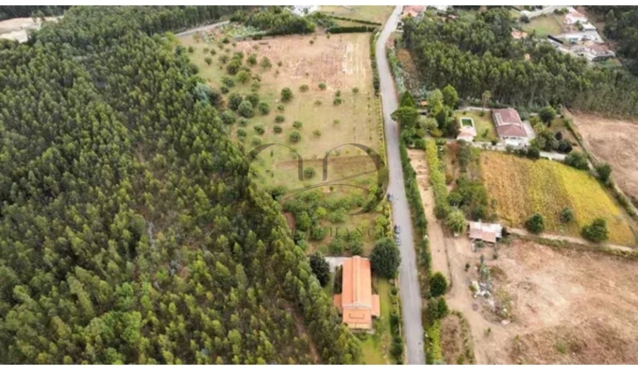 Armazém para Venda em Canedo, Vale e Vila Maior Foto 17