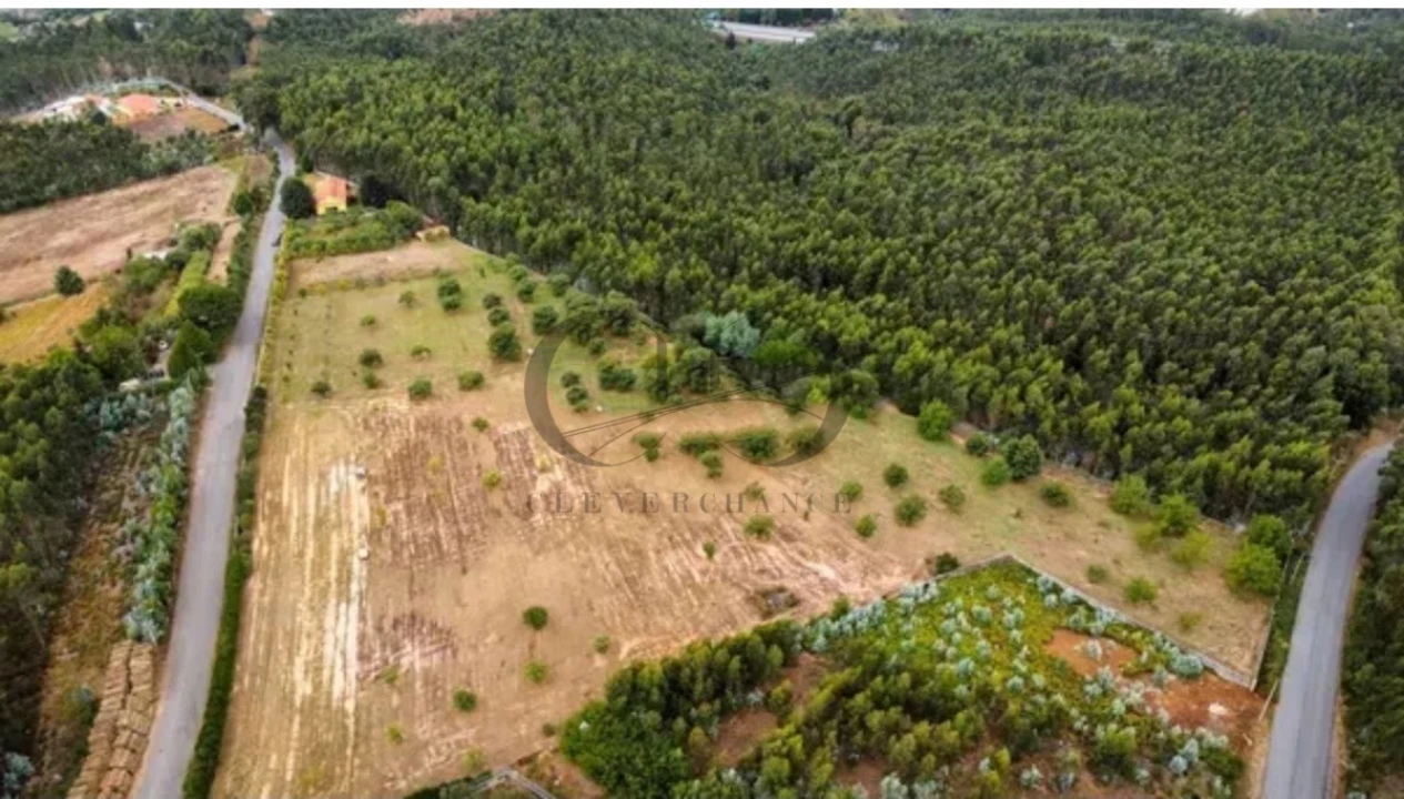 Armazém para Venda em Canedo, Vale e Vila Maior Foto 3
