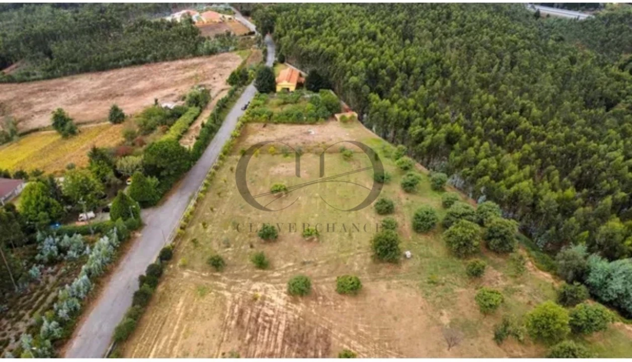 Armazém para Venda em Canedo, Vale e Vila Maior Foto 19