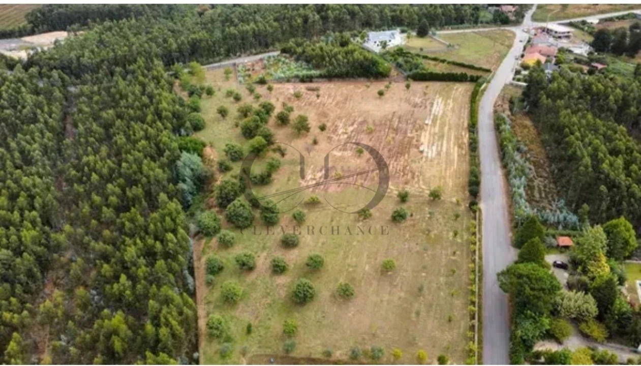 Armazém para Venda em Canedo, Vale e Vila Maior Foto 21