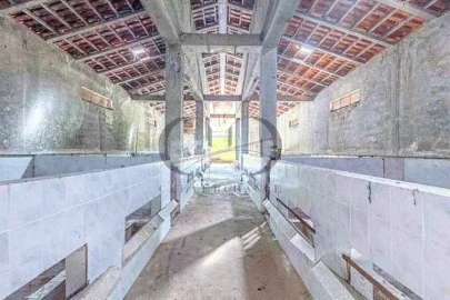 Armazém para Venda em Canedo, Vale e Vila Maior