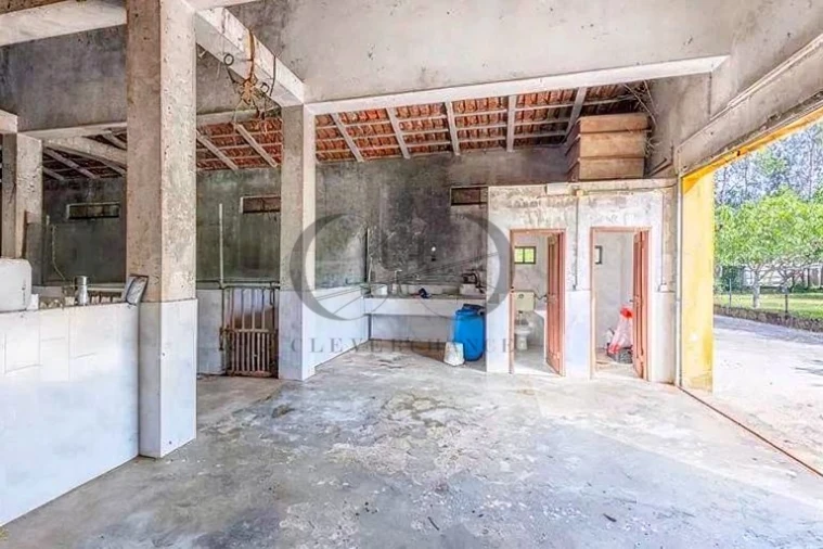 Armazém para Venda em Canedo, Vale e Vila Maior Foto 6