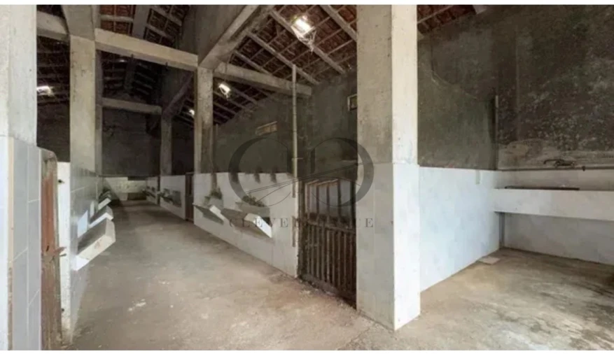 Armazém para Venda em Canedo, Vale e Vila Maior Foto 8