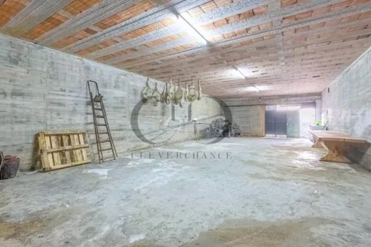 Armazém para Venda em Canedo, Vale e Vila Maior Foto 11