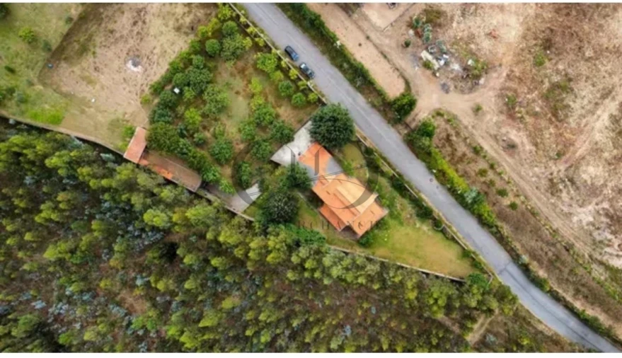 Armazém para Venda em Canedo, Vale e Vila Maior Foto 18