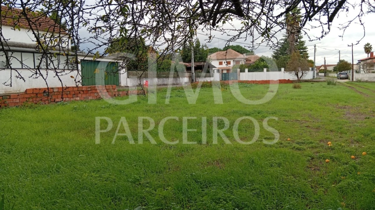 Terreno para Venda em Oiã Foto 2