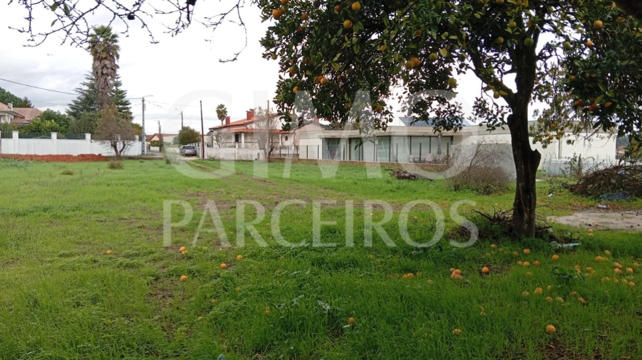 Terreno para Venda em Oiã Foto 3