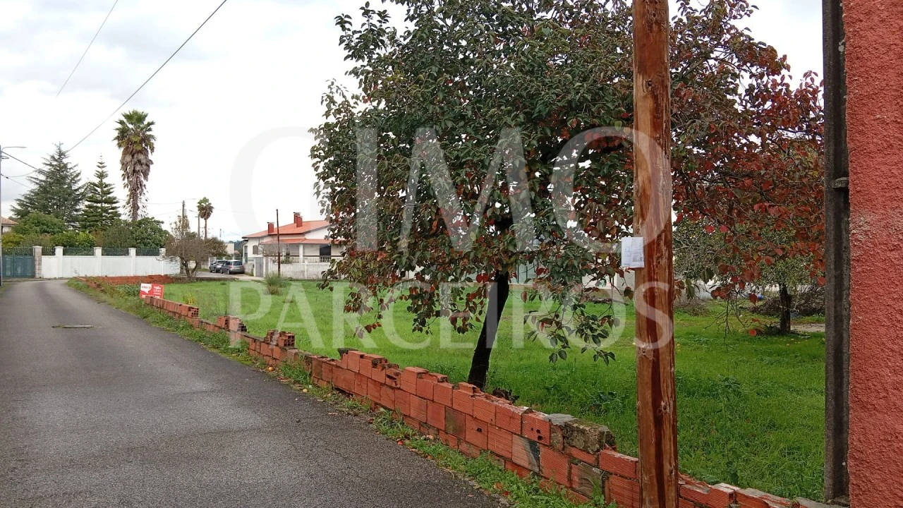 Terreno para Venda em Oiã Foto 10