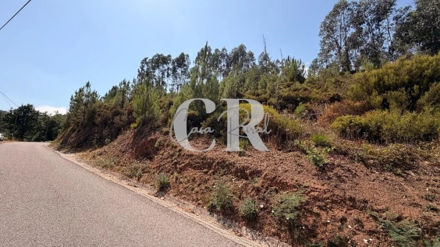 Moradia T3 para Venda em Figueiró dos Vinhos e Bairradas Foto 28