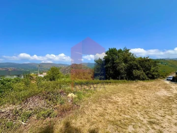 Terreno para Venda em Moimenta