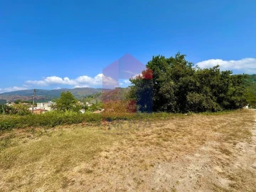Terreno para Venda em Moimenta