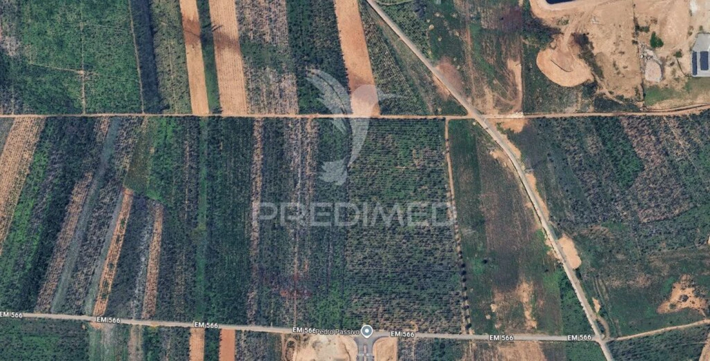 Terreno para Venda em Albergaria-A-Velha e Valmaior Foto 2