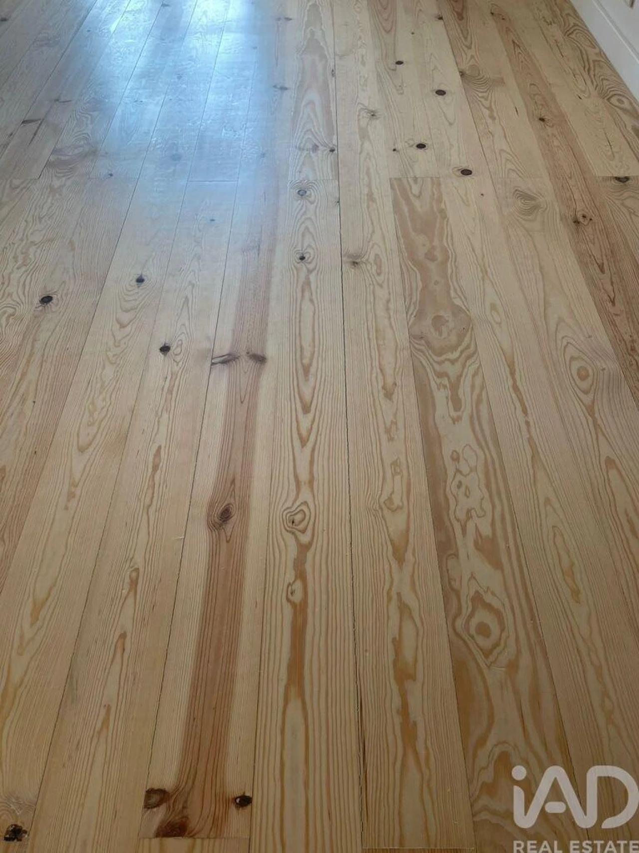 Apartamento T3 para Arrendamento em Santo António Foto 14