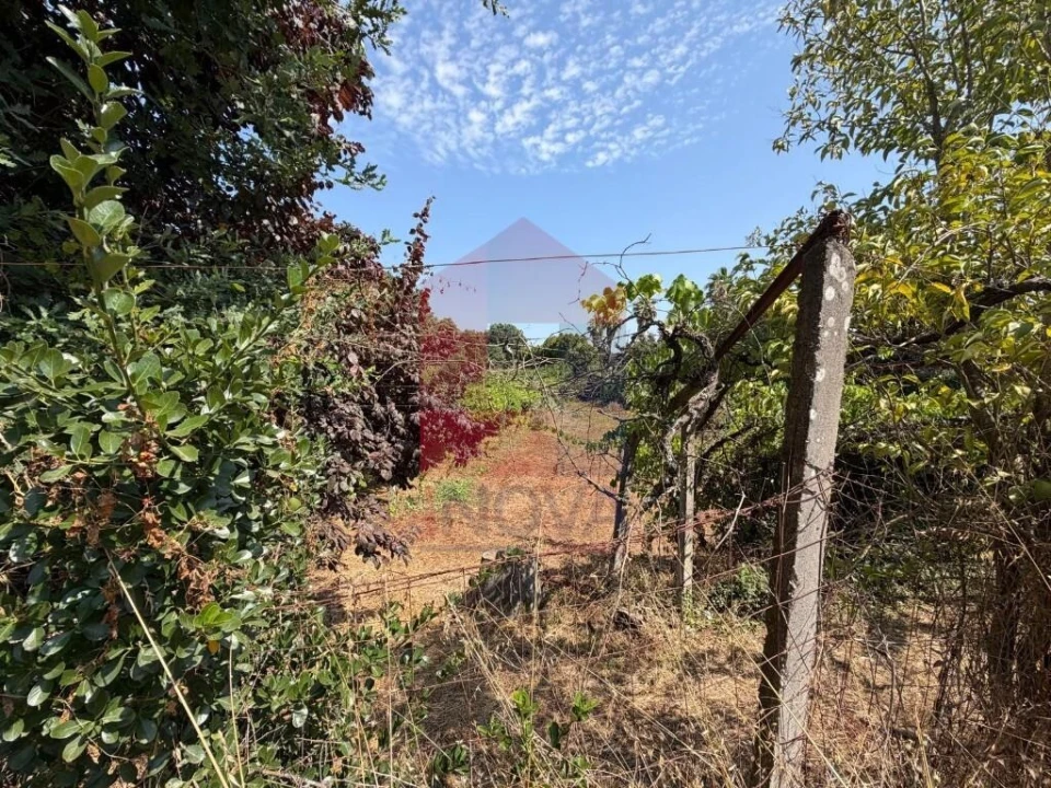 Terreno para Venda em Palmeira Foto 6