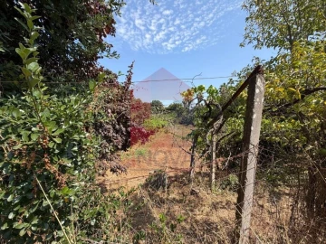 Terreno para Venda em Palmeira
