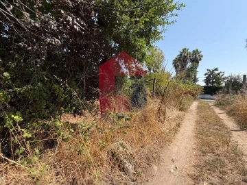 Terreno para Venda em Palmeira