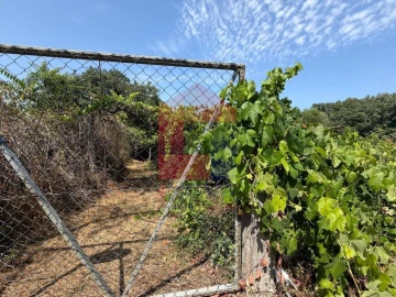 Terreno para Venda em Palmeira