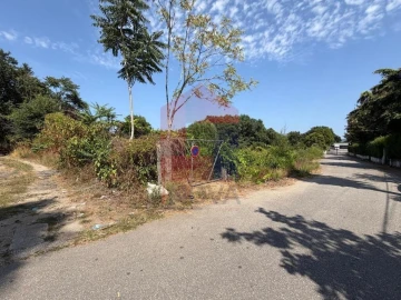 Terreno para Venda em Palmeira