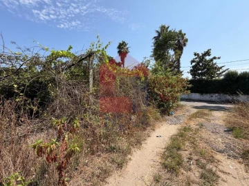 Terreno para Venda em Palmeira