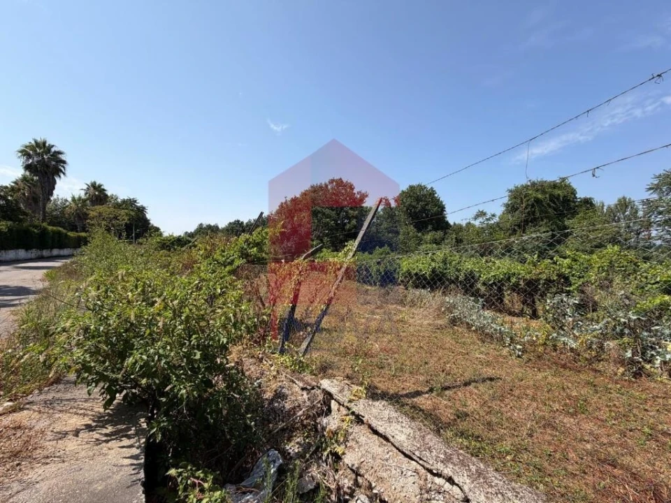 Terreno para Venda em Palmeira Foto 2