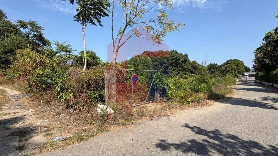 Terreno para Venda em Palmeira